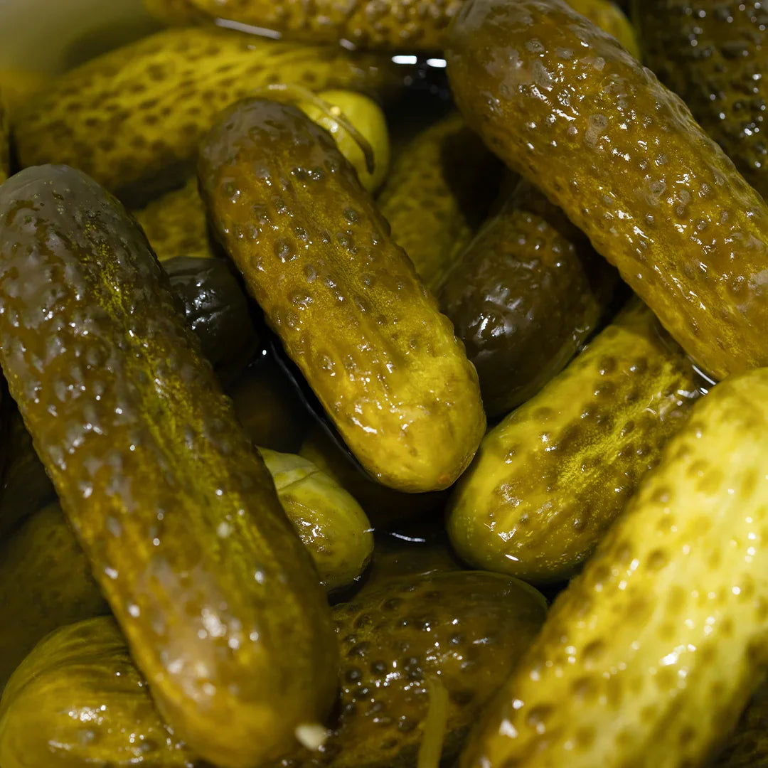 Close-up of whole dill pickles submerged in brine, showing bumpy textured skin and greenish-yellow color